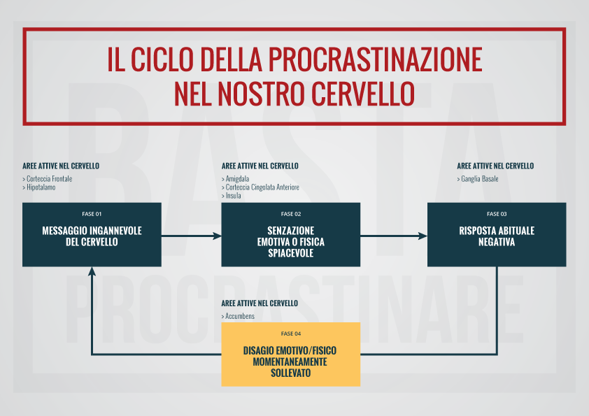 Ciclo-1